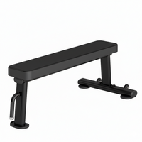 Thumbnail for Insight Fitness Flat Bench - DR014 on a white background