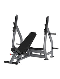 Thumbnail for Insight Fitness Incline Olympic Bench - DR005 with white background