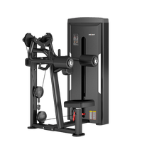 Thumbnail for Insight Fitness Lateral Raise - SA034 with a transparent background