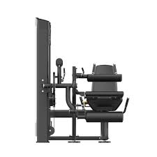 Insight Fitness Leg Curl & Leg Extension - SA031 on a white background