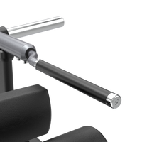 Thumbnail for Close-up of a Insight Fitness Lunge - SH023 handle with a white background
