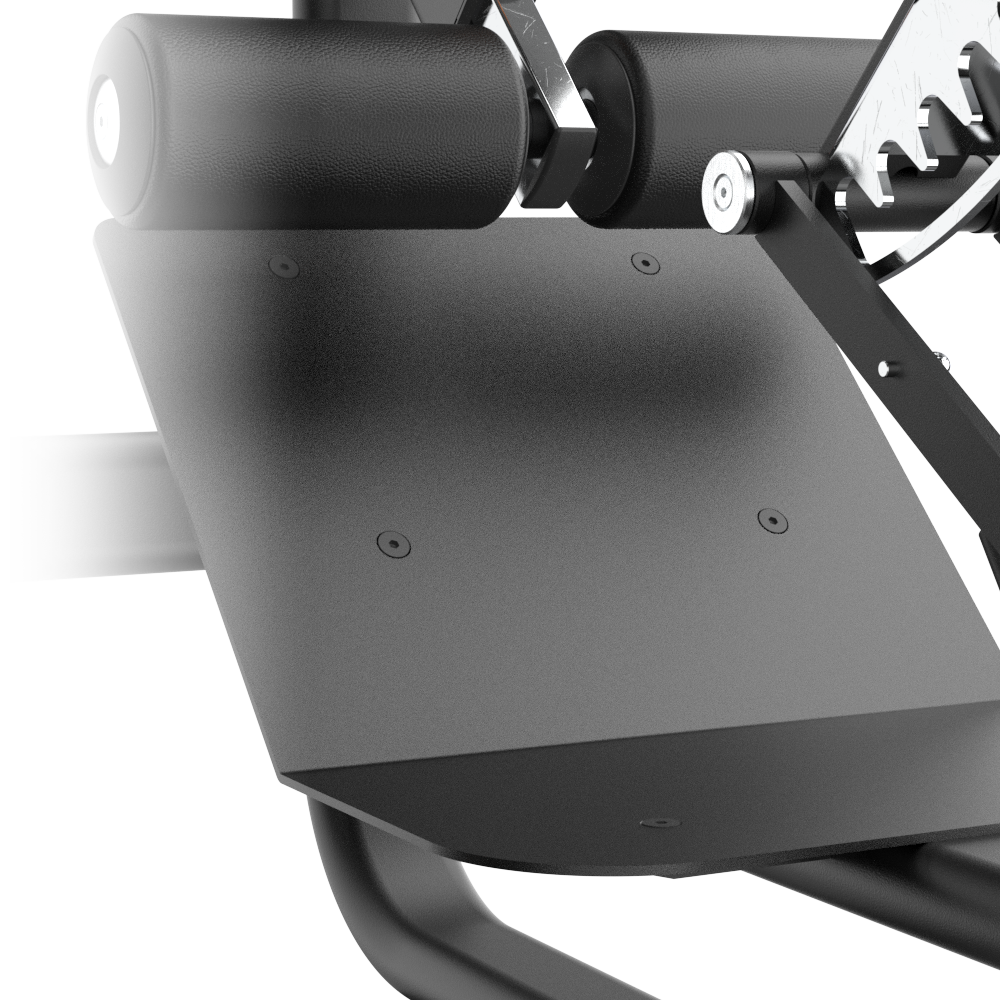 Close-up of a Insight Fitness Multi Back Extension - BE8040 with a white background