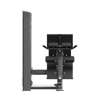 Thumbnail for Insight Fitness Multi Back Extension - BE8040 on a white background