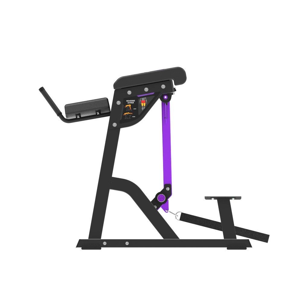 Insight Fitness Reverse Hyper - PB407