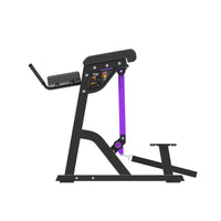 Thumbnail for Insight Fitness Reverse Hyper - PB407