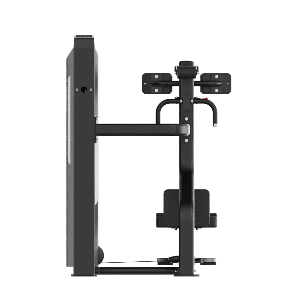 Insight Fitness Rotary Torso - SAO10 on a white background