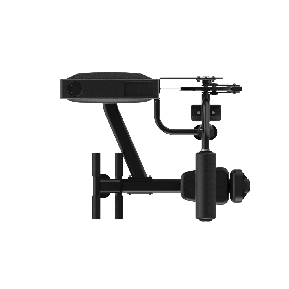 Insight Fitness SA Series Abdominal Back Extension - SA009 on a white background
