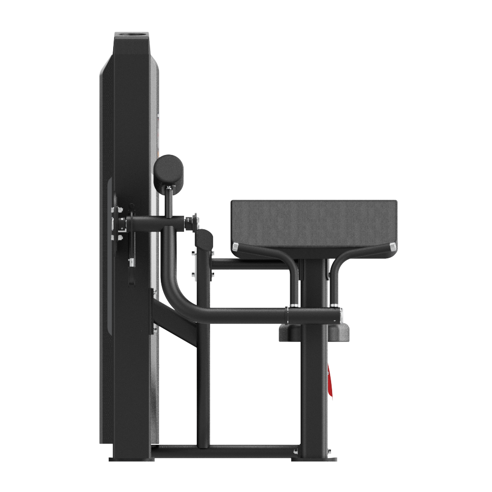 Insight Fitness SA Series Biceps Curl - SA006E on a white background