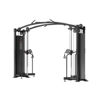 Thumbnail for Insight Fitness SA Series Cable Crossover - SA022 with a transparent background