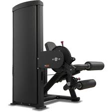 Insight Fitness SA Series Leg Curl - SA015D on a white background
