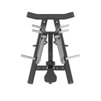 Thumbnail for Insight Low Row SH004 with multiple barbells on a white background
