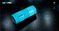 Thumbnail for Livepro - Sports Performance Roller - LP8231