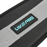 Thumbnail for Livepro Dip Belt - LP8098 (Black)