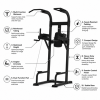Thumbnail for Insight Fitness Vertical Knee Rise / Dip - DR008