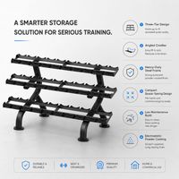 Thumbnail for Insight Fitness 3 Tier Dumbbell Rack - DR027