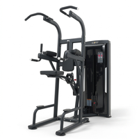 Thumbnail for Insight Fitness SA Series Assisted Chin Up - SA008