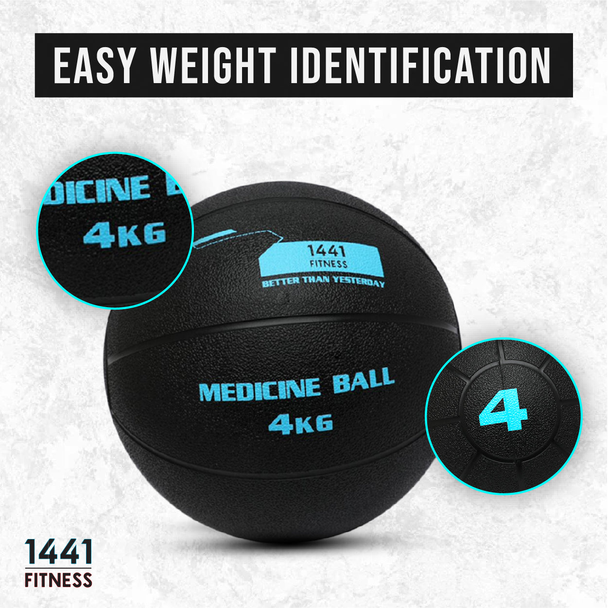 1441 Fitness Medicine Balls 1 to 10 KG