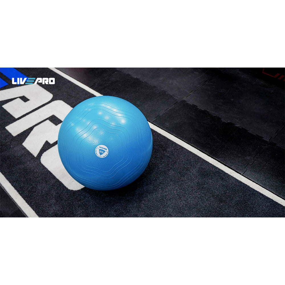 LivePro Anti Burst Core Fit Exercise Ball - LP8201