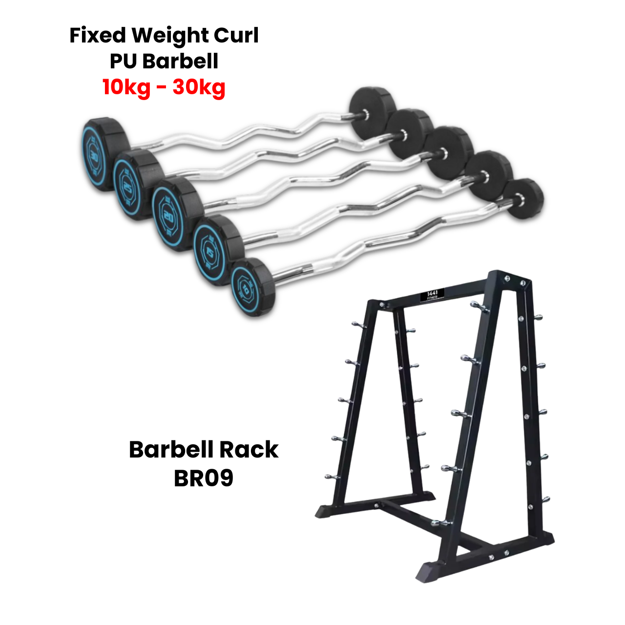 Fixed Curl PU Barbell Set - 10 Kg to 30 Kg with Rack - Bundle Offer