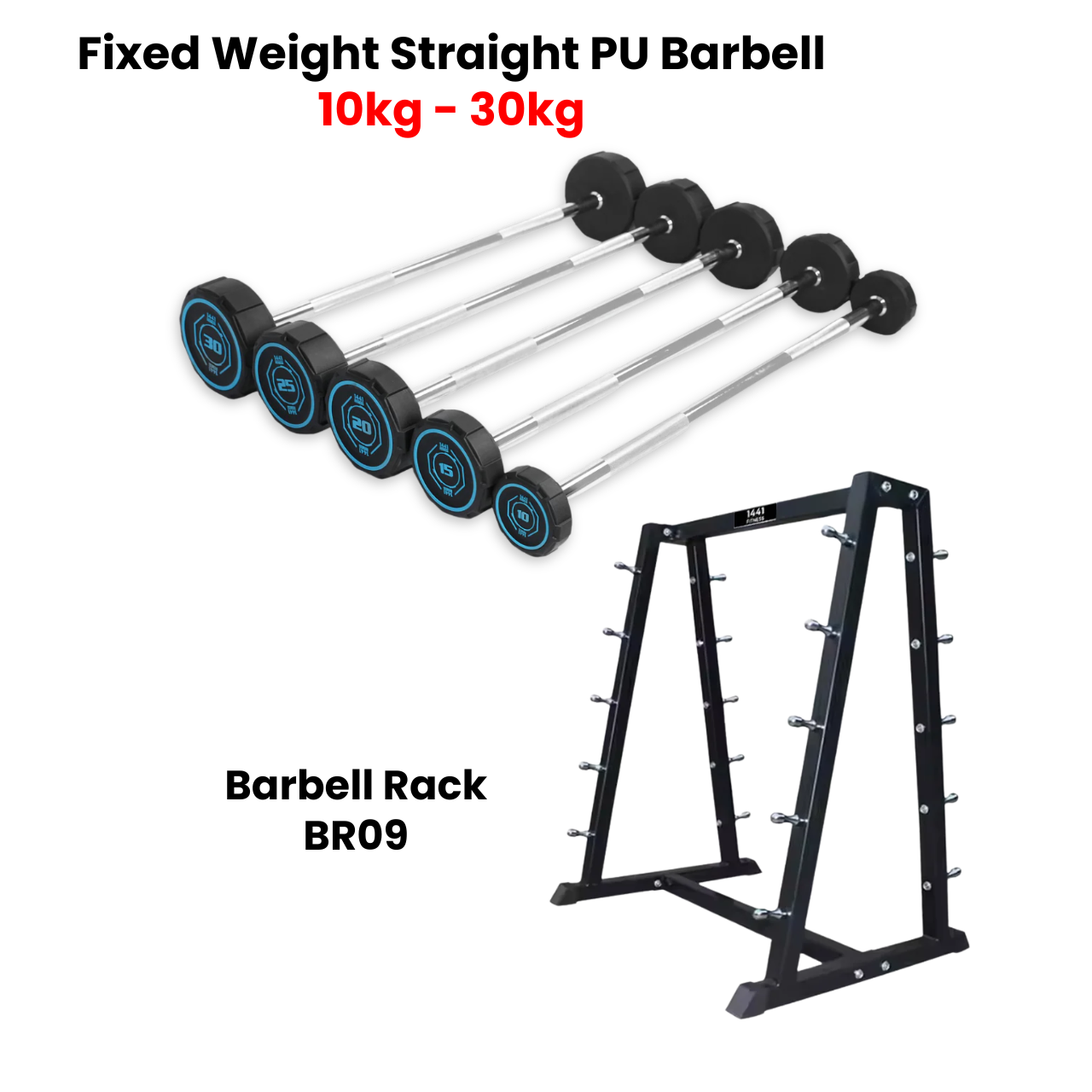 Fixed Straight PU Barbell Set - 10 Kg to 30 Kg with Rack - Bundle Offer