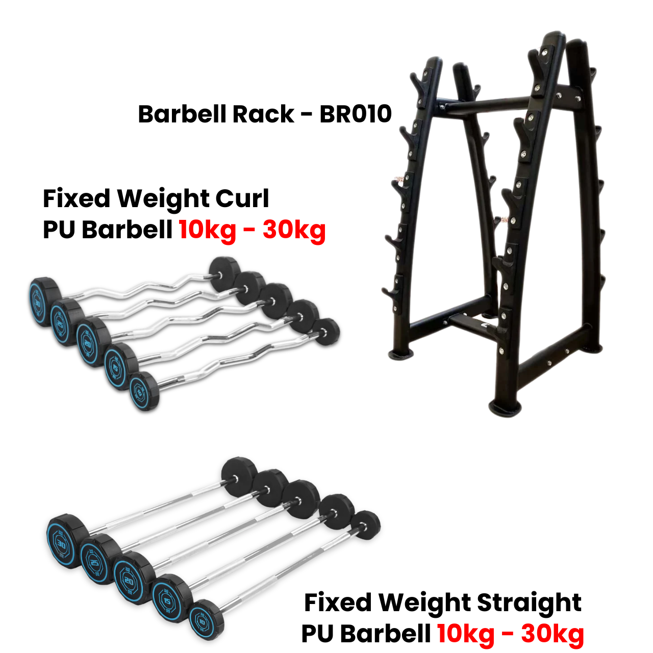 Fixed Straight & Curl PU Barbell Set with Rack - 10 kg to 30 kg - Bundle Offer