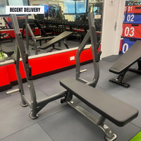 Thumbnail for Insight Fitness Flat Olympic Bench - DR004