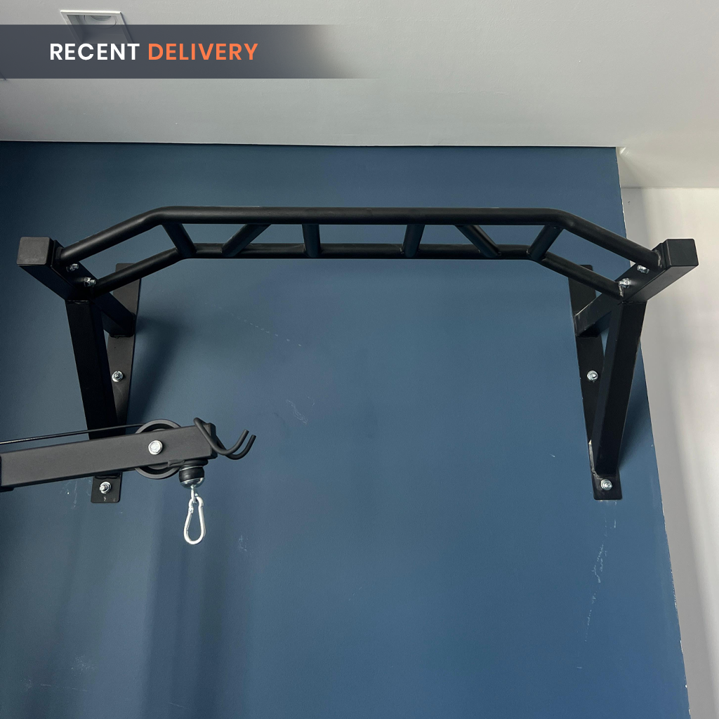 Wall Mounted Multi Grip Pull Up Bar