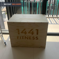 Thumbnail for Wooden Plyo box