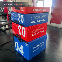 Thumbnail for 4 in 1 Adjustable Plyo Box