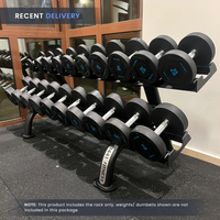 Thumbnail for Insight Fitness 2 Tier Dumbbell Rack - DR012