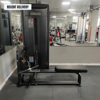 Thumbnail for Insight Fitness SA Series Low Row - SA012