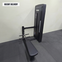 Thumbnail for Insight Fitness SA Series Low Row - SA012