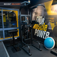 Thumbnail for Insight Fitness SA Series Assisted Chin Up - SA008