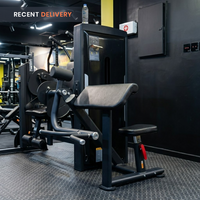 Thumbnail for Insight Fitness Biceps & Triceps - SA044
