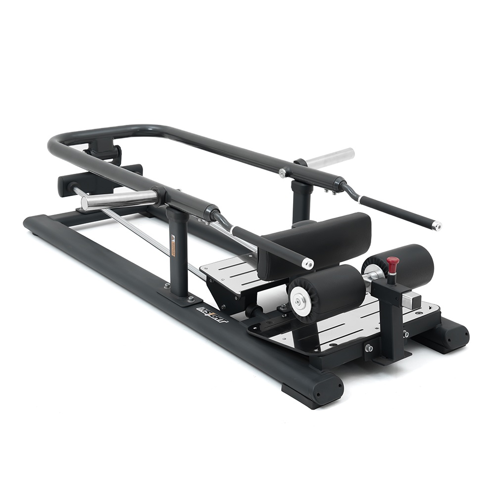 Insight Fitness Lunge - SH023