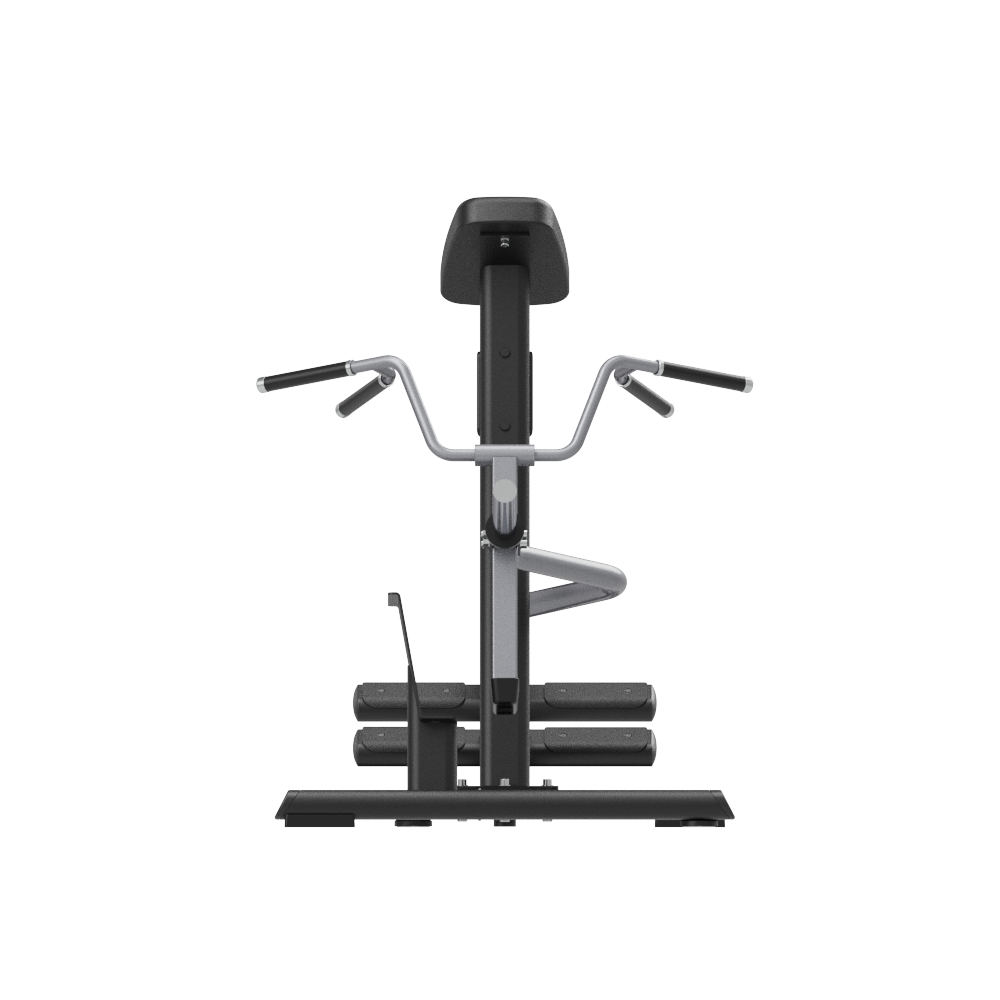 Insight Fitness T Bar Row - SH024