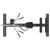 Thumbnail for Insight Fitness T Bar Row - SH024