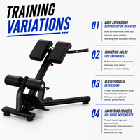 Thumbnail for Insight Fitness Back Extension - DR010