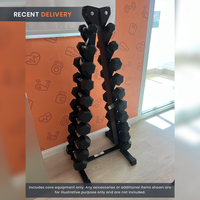 Thumbnail for Vertical Dumbbell Rack - 10 Pair