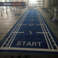 Thumbnail for Sled Track Grass with Marking - 10 x 2 Meters (Blue)