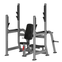 Thumbnail for Insight Shoulder Press - DR029