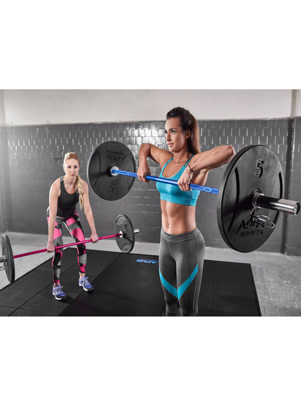 Olympic Bumper Plates