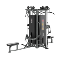 Thumbnail for Insight Fitness 4 Stack Station - GK515