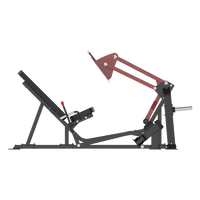 Thumbnail for Insight Fitness Leg Press - DH008