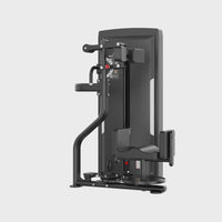 Insight Fitness Rotary Torso - SAO10 360 video