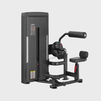 Insight Fitness SA Series Abdominal Back Extension - SA009 360 video