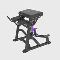 Insight Fitness Reverse Hyper - PB407