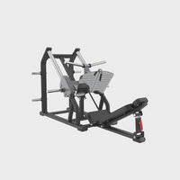 Insight Fitness Linear Leg Press - SH019 360 video