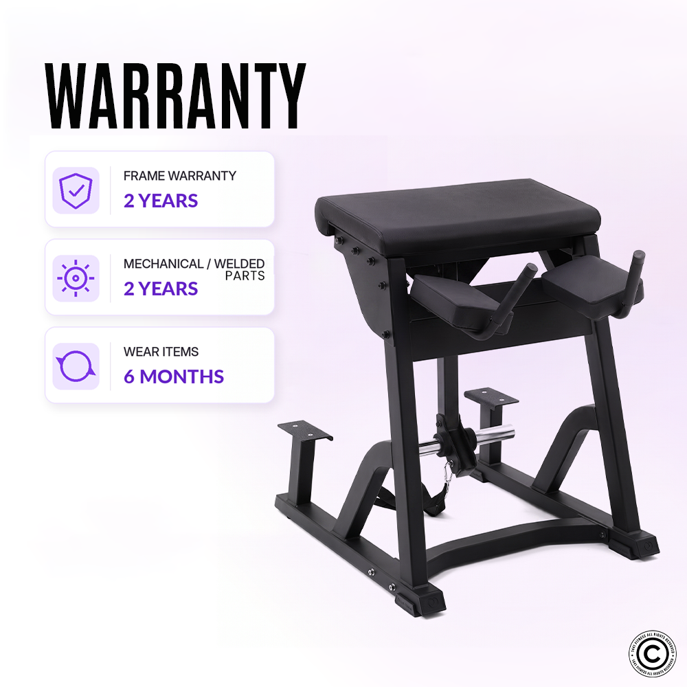 Insight Fitness Reverse Hyper - PB407